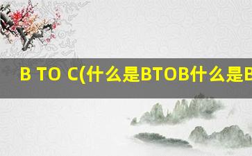 B TO C(什么是BTOB什么是BTOC)